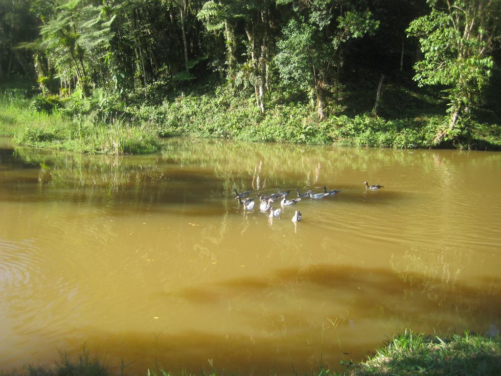 Pousada Recanto Dos Pinheiros Pilar do Sul Buitenkant foto