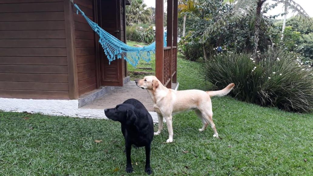 Pousada Recanto Dos Pinheiros Pilar do Sul Buitenkant foto